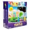 12 Pack: Color Zone® Paint Your Own Turtle Kit